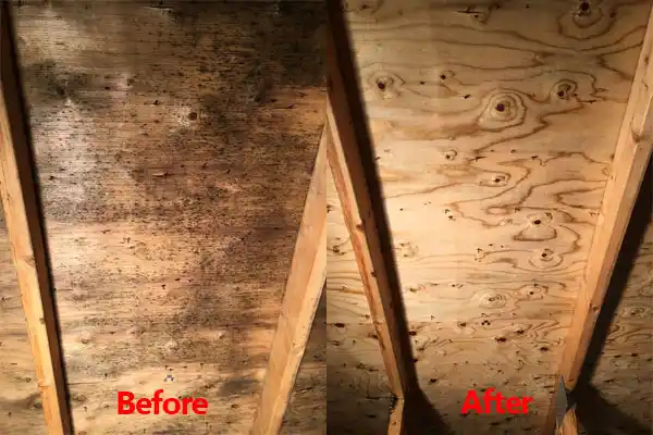 water damage restoration service Plain View